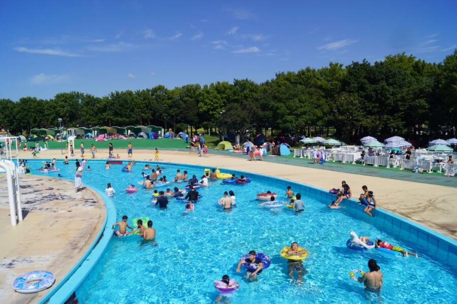 しらこばと水上公園 夏季プール｜埼玉県越谷市｜プールへGO！